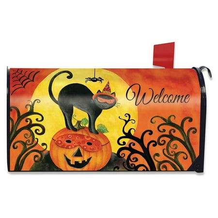 black cat halloween mailbox