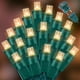 thumbnail image 1 of Cadena de luces LAMPHOME 100 LED de color blanco cálido, 6.3 pulgadas y 21.6 pies, 1 of 7