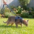 thumbnail image 4 of Adjustable Airtag Holder Cat Vest Harness with 1.5M Matching Leash, Escape Proof Reflective Pet Chest Harness for Kittens & Small Cats 3 to 8 Pounds Outdoor Walking, 4 of 7