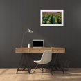 thumbnail image 3 of Gavrilis, John 18x13 White Modern Wood Framed Museum Art Print Titled - Dawn Sunflowers, 3 of 4