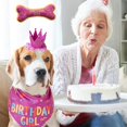 thumbnail image 4 of Bandana de cumpleaños para perros, sombrero grande de cumpleaños para perros, juguete de hueso para perros, juego de fiesta para mascotas, fiesta de feliz cumpleaños (rosa) ER, 4 of 5