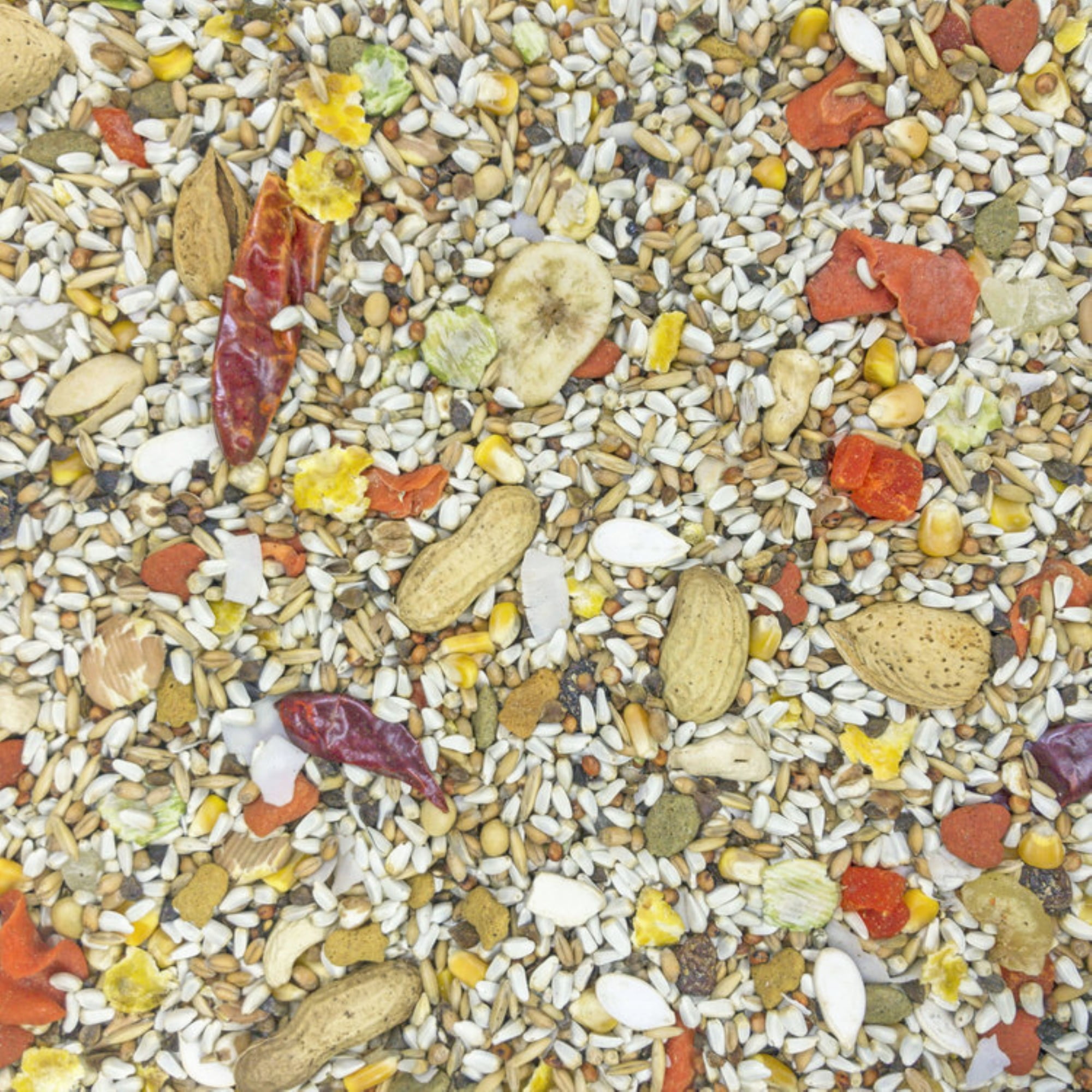 Saffluidower Gold Large Hookbill Bird Food 25Pound Hig25131 Higgins Premium Pet Foods