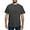 Charcoal, variant on - Ph.D. B.S. Men's Comfort Colors® T Shirt - Mens Comfort Colors Shirt