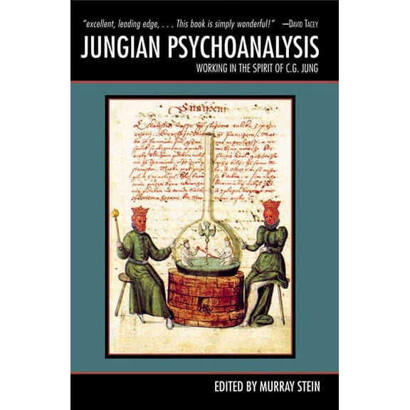 Jungian Psychoanalysis: Working in the Spirit of C.G. Jung, (Paperback)