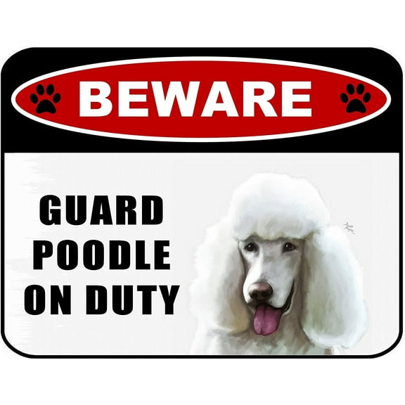 Beware Guard Poodle White (v1) on Duty 11.5 inch x 9 inch Laminated Dog Sign