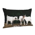 thumbnail image 2 of Disketp Pillow Covers Cute Goat Baby Pattern Throw Pillow Case Cushion Covers,Cushion For Bedroom,Couch,Home-20"X30", 2 of 9