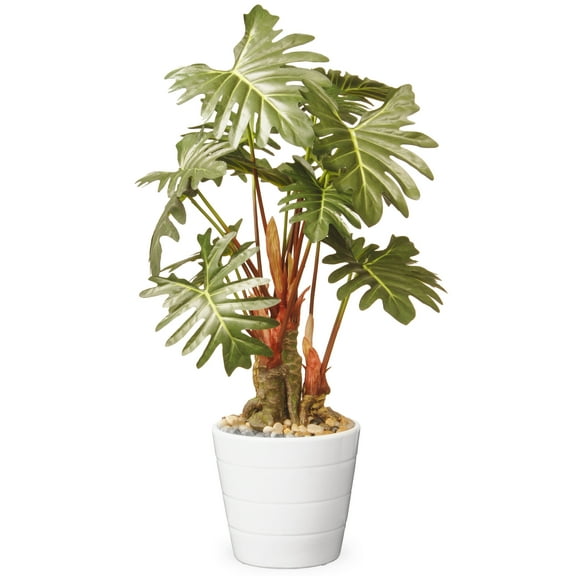 21" Garden Accents Philodendron Flower