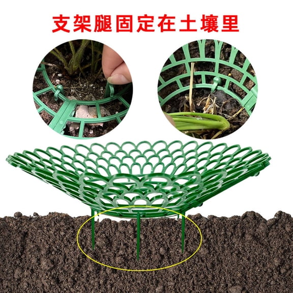 LEXSOMEO 5Pcs Strawberry Plant Support Racks Strawberry Supports for Garden Planting Racks Strawberry Plant Holders Strawberry Growing Racks Protector Strawberry Growing Frame Holders