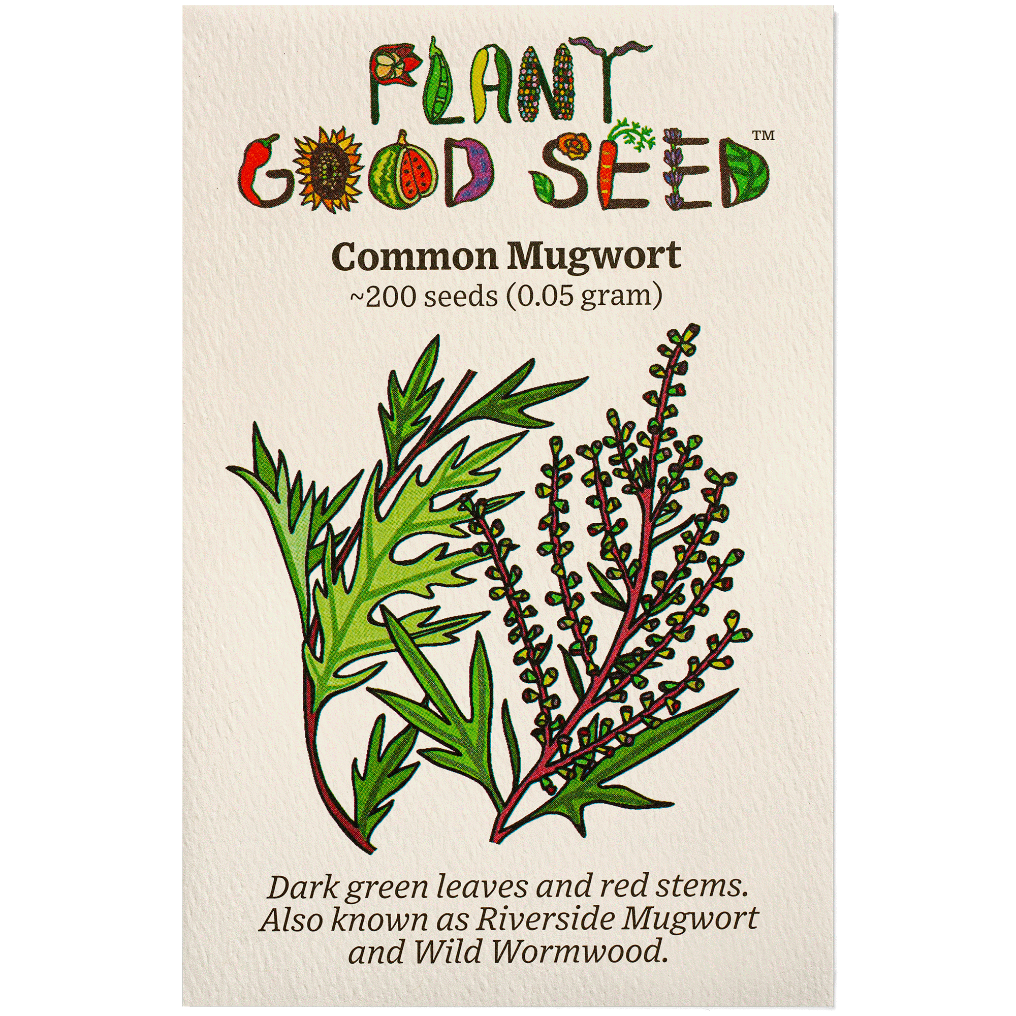 Plant Good Seed Common Mugwort Seeds, Organic Artemisia Vulgaris Seeds