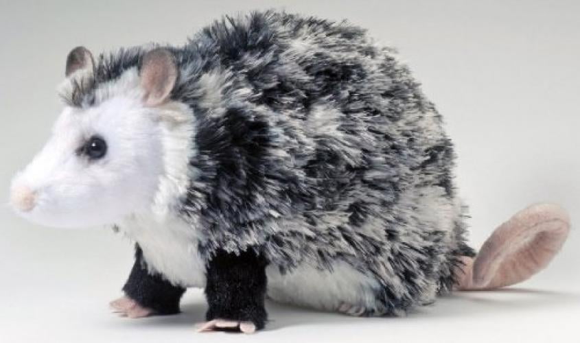 opossum stuffed animal walmart