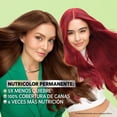 thumbnail image 4 of Tinte para cabello Garnier Nutrisse 41 café delicia, 4 of 12