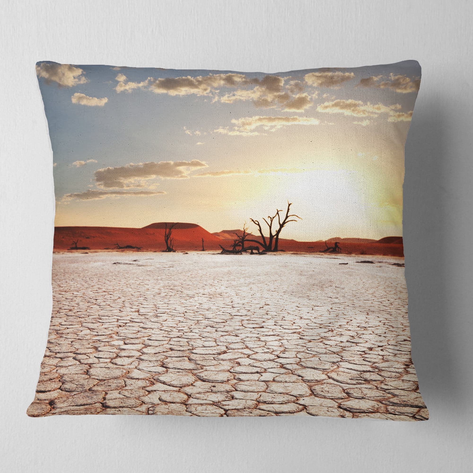 Designart Namib Desert with Cracked Land - Landscape Printed Throw Pillow - 18x18