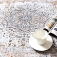 thumbnail image 2 of Rugking Area Rug 4x6 Foldable Taupe Rug Floral Printed Distressed Carpet Vintage Traditional Indoor Mat for Bedroom Living Room, 2 of 6