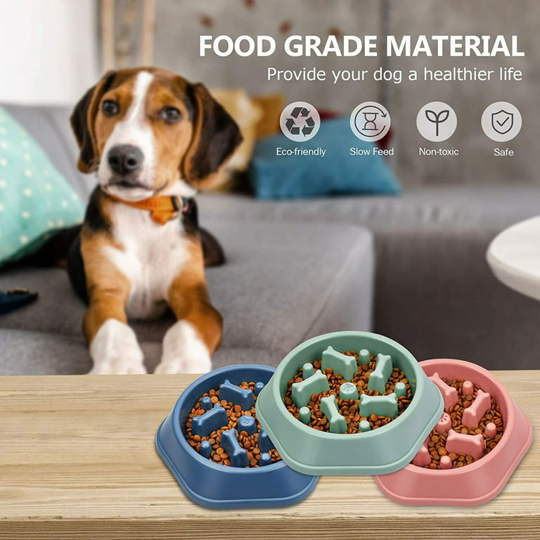 Buy NOYAL Slow Feeder Dog Bowls Puzzle Anti-Gulping Interactive Bloat  Durable Preventing Choking Healthy Dogs Bowl Online at Low Prices in USA 