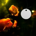 thumbnail image 4 of unbranded 1Jgo Transparente Decorativo Para Acuario Con Para Peces Betta, 4 of 8