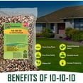 thumbnail image 4 of PREMIUM 10-10-10 All-Purpose Soil Fertilizer by Gardenera - Ideal for Flowers, Plants, Vegetables, Fruit Trees and Lawns - 1 Quart, 4 of 10