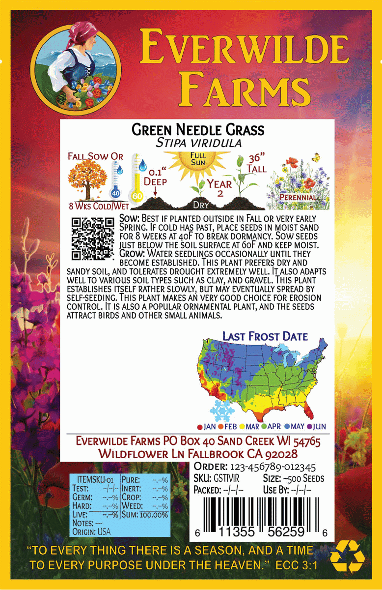 Everwilde Farms - 1 lb Green Needle Grass Native Grass Seeds - Gold Vault Bulk Seed Packet