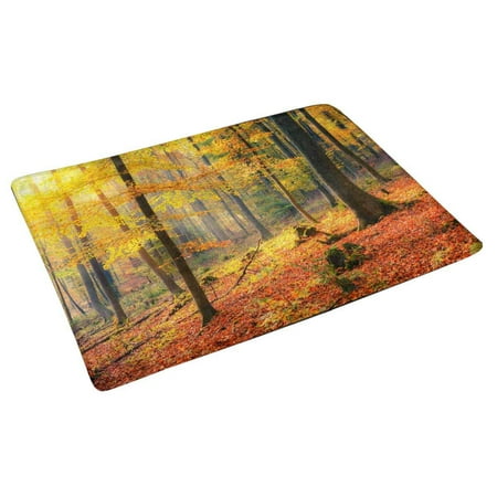 mats door entrance indoor doormat foggy 30x18 mat rug inches autumn colorful forest pop floor decor
