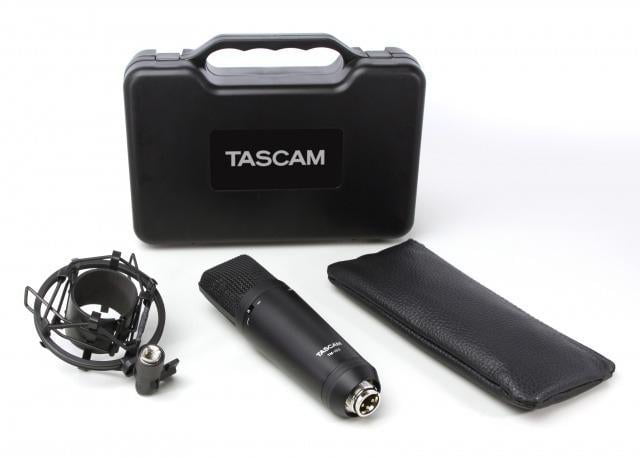 Tascam TM-280 Studio Microphone with Flight Case - Walmart.com