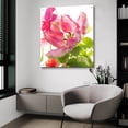 thumbnail image 4 of Epic Art ' Parrot Tulip One' by Judy Stalus, Acrylic Glass Wall Art, 36"x36", 4 of 8
