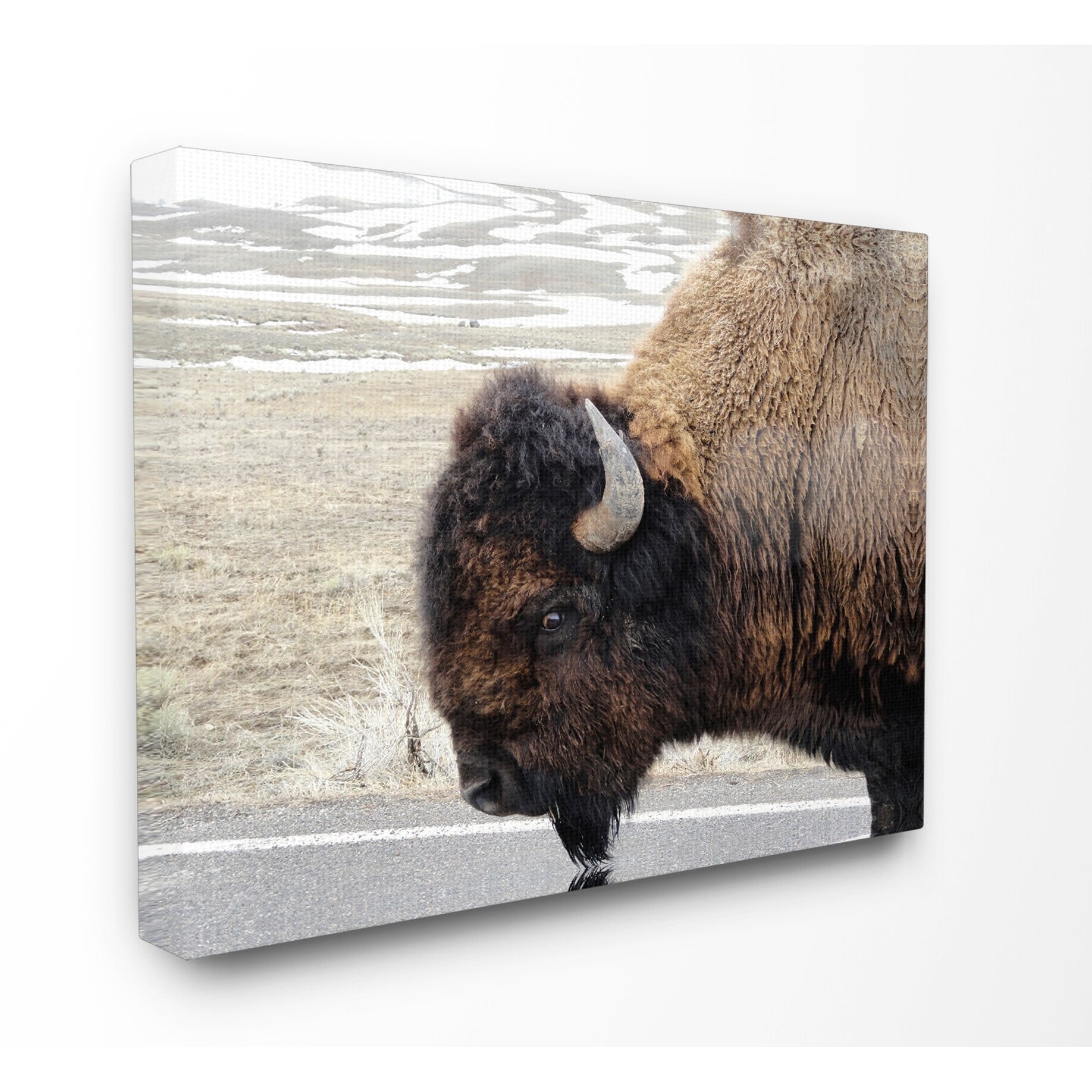 The Stupell Home Decor Collection Beautiful Buffalo Photography Wall Art