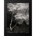 thumbnail image 2 of Geyman, Vitaly 19x24 Black Modern Framed Museum Art Print Titled - Maple Beauty I BandW, 2 of 5