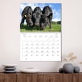 thumbnail image 3 of Grazing cattle in the Franconian Forest (Monthly Wall Calendar 2026 16.5 x 23.4 (open)), CALVENDO 14 Month Calendar, 3 of 9