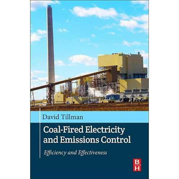 Coal-Fired Electricity and Emissions Control: Efficiency and Effectiveness, (Paperback)