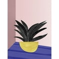 thumbnail image 2 of Urban Road 19x24 White Modern Wood Framed Museum Art Print Titled - Say Aloe, 2 of 4