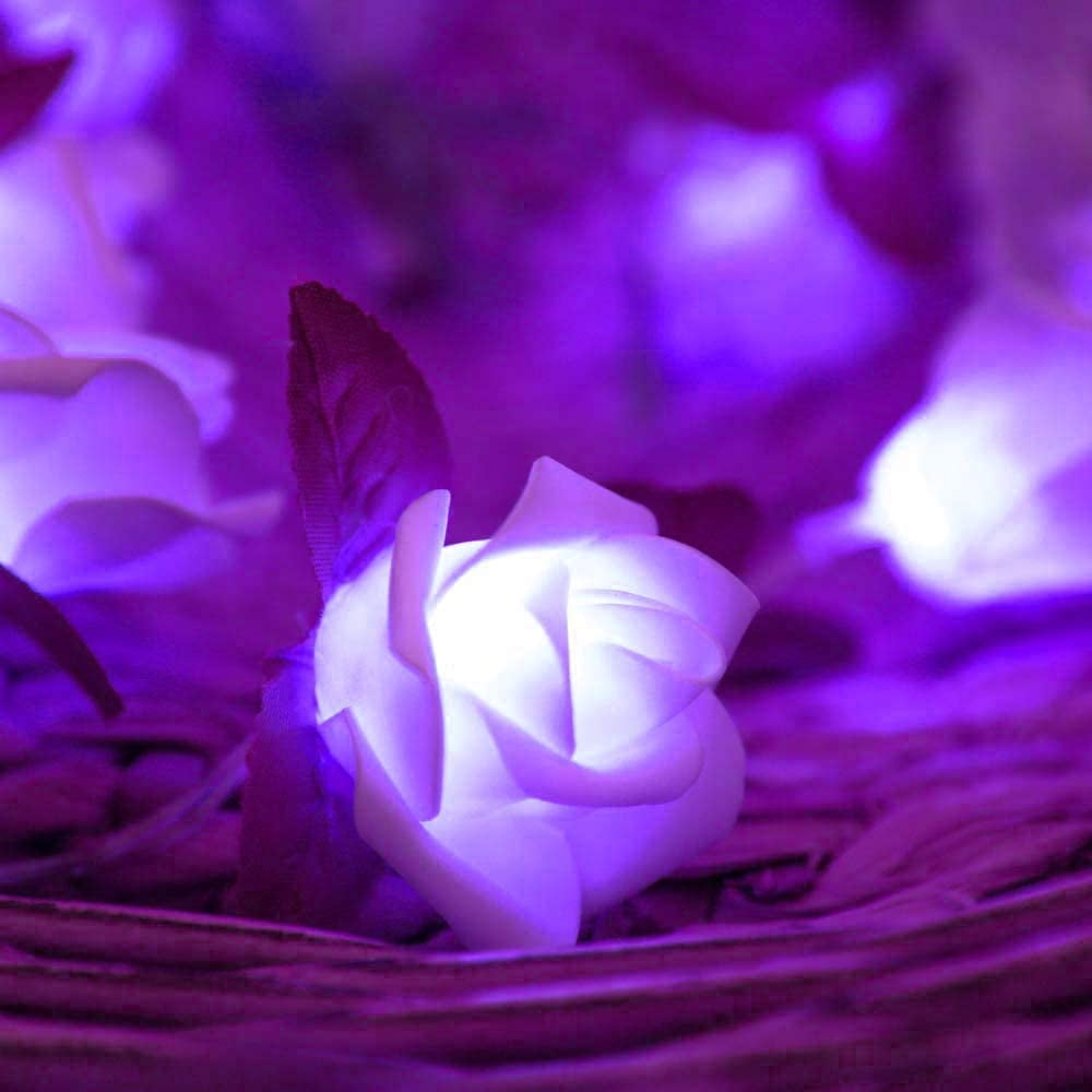 Mystery Violet Rose With Green Leaves String Lights for Patio,wedding,party  and Decoration 