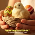 thumbnail image 4 of Set de regalo de juguete squishy Dan&Darci Taba con nido de pollito, 4 of 9