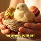 thumbnail image 4 of Set de regalo de juguete squishy Dan&Darci Taba con nido de pollito, 4 of 9