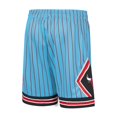 thumbnail image 3 of Men's Mitchell & Ness Blue Chicago Bulls Hardwood Classic Reload Swingman Shorts, 3 of 3