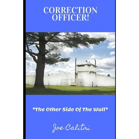 Correction Officer!: The Other Side Of The Wall