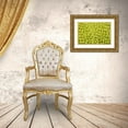 thumbnail image 3 of Shimlock, Jones 24x17 Gold Ornate Wood Framed with Double Matting Museum Art Print Titled - Sea squirt colony, Raja Ampat, Indonesia, 3 of 4