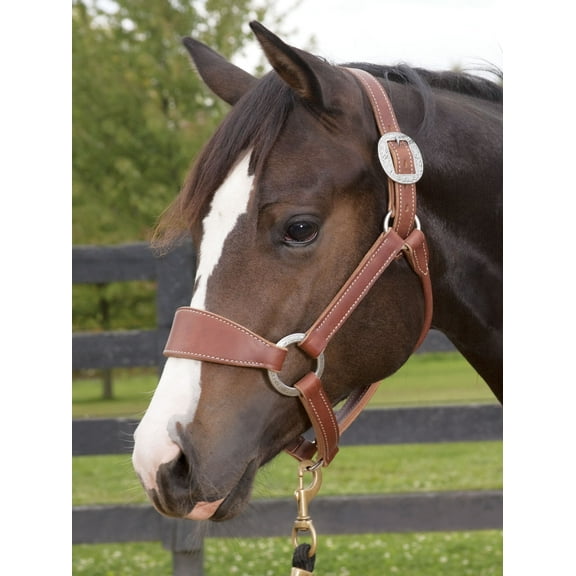 Weaver Leather Bronc Halter - Heavy-Duty Stainless Steel