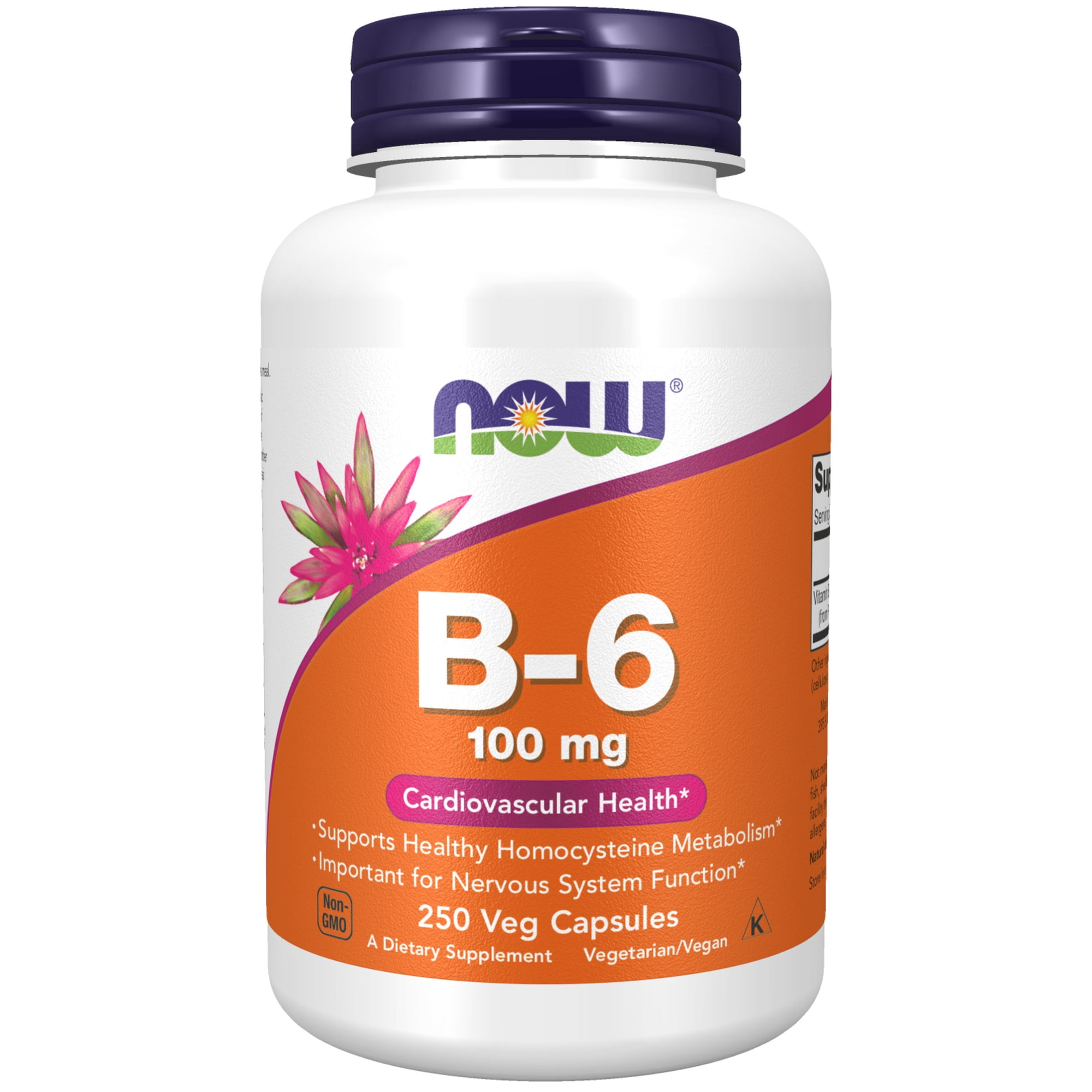 NOW Supplements, Vitamin B-6 (Pyridoxine HCl) 100 mg, Cardiovascular Health*, 250 Veg Capsules