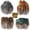 4Styles-200PCS, variant on 200PCS Assorted Feathers, 4 Styles Chicken Feathers for DIY Crafts Dream Catcher Carnival Costume Party Mask Decoration