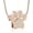 rose gold, variant on Pet Cremation Jewelry for Ashes Urn Necklace Paw Print Pet Keepsake Jewelry for Pet/Dog's/Cat's Ashes Pendant Memorial Gifts