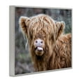 thumbnail image 2 of Stupell Industries Baby Highland Calf Cattle Licking Lips Country Farmland Photograph Gray Framed Art Print Wall Art, Design by James Dobson, 2 of 5