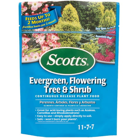 Scotts Evergreen, Flowering Tree & Shrub Continuous Release Plant Food, 3 (Best Fertilizer For Evergreen Shrubs)
