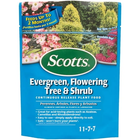 Scotts Evergreen, Flowering Tree & Shrub Continuous Release Plant Food, 3 (Best Fertilizer For Flowering Plants)