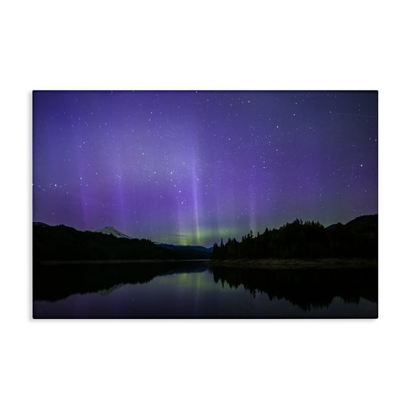 Stupell Industries Luminous Purple Northern Lights Landscape & Nature Photography Wrapped Canvas Canvas Art Print Wall Art, 24 x 16