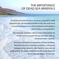 thumbnail image 4 of Bath Salts One With Nature Sal del Mar Muerto, 2,27 kg, 21 minerales, 4 of 6