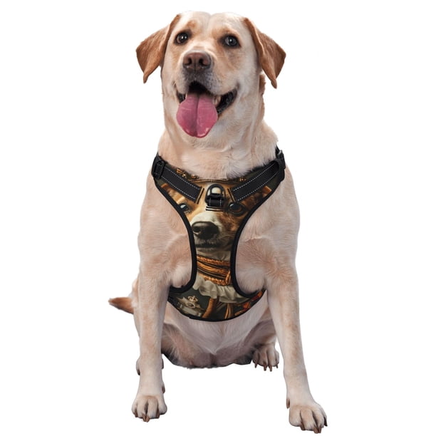 Fotbe Modern Cute Dog Arnés para Perro con Estampado –Chaleco Ajustable Acolchado con Asa de Control para Perros Grandes-Medium