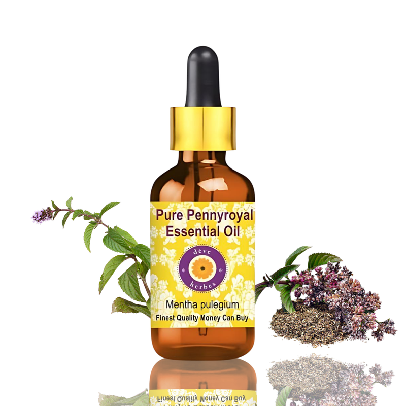 Deve Herbes Pennyroyal Essential Oil (Mentha Pulegium) - 0.16 Fl Oz (5ml) - 100% Natural Pennyroyal Oil - for Diffuser & Aromatherapy - with Dropper