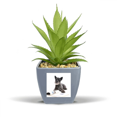thumbnail image 1 of Dog Pet Animal Photography Pictures Fake Pineapple Flower Pot Vase Mini Decor, 1 of 3