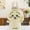 C, variant on 33/65cm New Cute Cartoon Chiikawa Ice Cream Hachiware Usagi Plush Doll Pillow Ornament Birthday Valentine’s Gift Toy