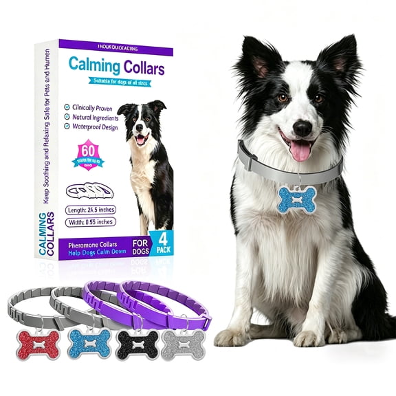 4 Pack Calming Collar for Dogs – 62cm Natural Pheromone Relief for Anxiety, Stress, Barking, Thunder, Separation – Waterproof Adjustable (2 Purple 2 Gray)
