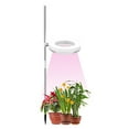 thumbnail image 1 of Mistaha Indoor Small Plant Light Full Spectrum LED Plant Light Desktop Mini Plant Light Height Adjustable Plant Light with IPL & Sunlight in Single & Double Lamp Holder, 1 of 8
